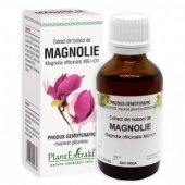 Extract din boboci de Magnolie, 50ml