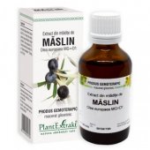 Extract din mladite de Maslin, 50ml