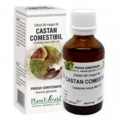 Extract din muguri de Castan Comestibil, 50ml