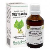 Extract din muguri de Mesteacan, 50ml