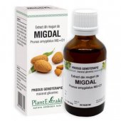 Extract din muguri de Migdal, 50ml