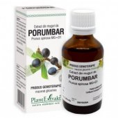 Extract din muguri de Porumbar, 50ml
