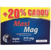 MaxiMag 60 plicuri