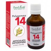 Pachet Articulatii - Artrophyt 50ml + Polygema14 + Artrophyt Crema
