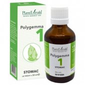 Polygemma 1 - Stomac, 